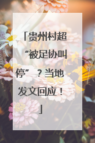 贵州村超“被足协叫停”？当地发文回应！